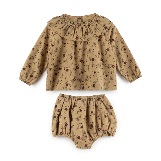 Baby Brown Ruffle collar top and bloomer